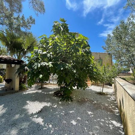 Marseillan Plage Joli T2 Ngoại thất bức ảnh